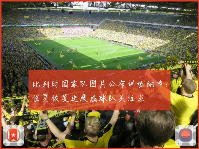 比利时国家队图片公布训练细节,伤员恢复进展成球队关注点