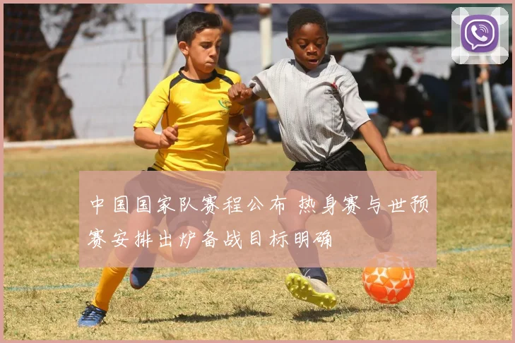 中国国家队赛程公布 热身赛与世预赛安排出炉备战目标明确