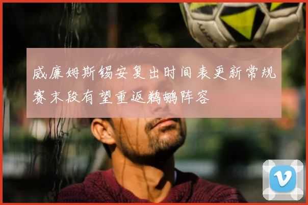威廉姆斯锡安复出时间表更新常规赛末段有望重返鹈鹕阵容