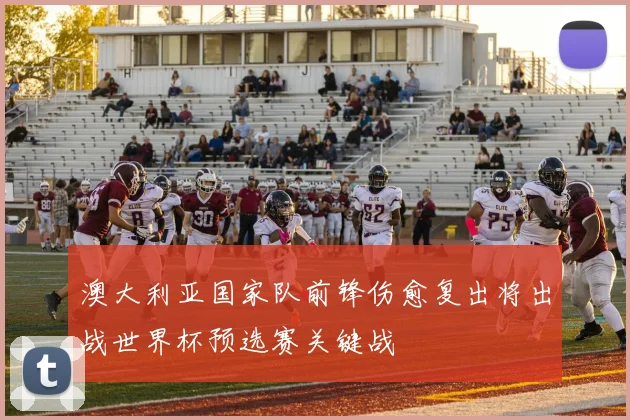 澳大利亚国家队前锋伤愈复出将出战世界杯预选赛关键战