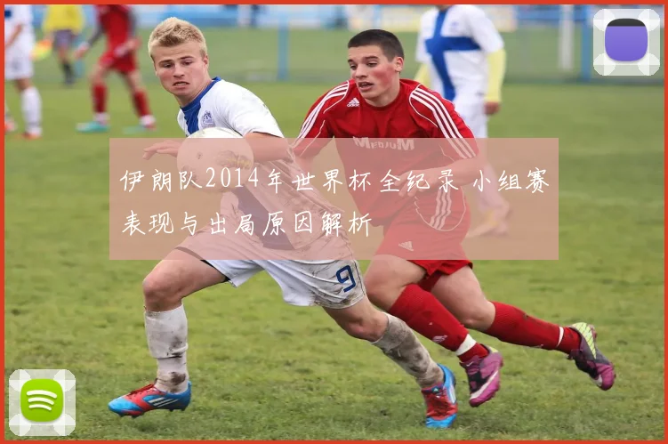 伊朗队2014年世界杯全纪录 小组赛表现与出局原因解析