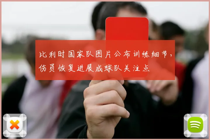 比利时国家队图片公布训练细节，伤员恢复进展成球队关注点