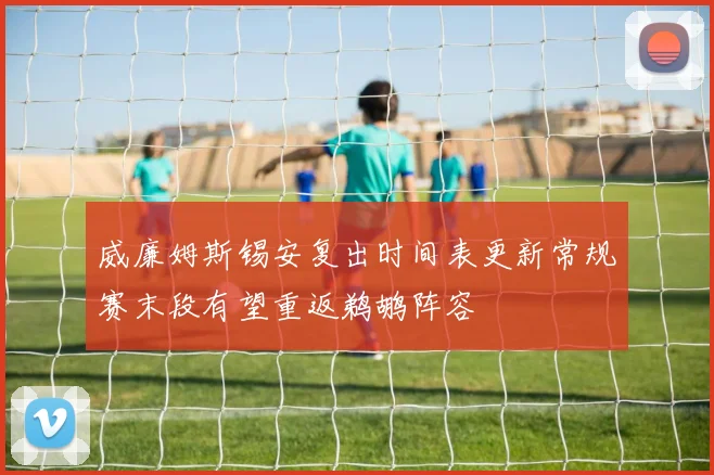 威廉姆斯锡安复出时间表更新常规赛末段有望重返鹈鹕阵容