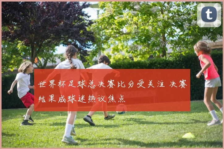 世界杯足球总决赛比分受关注 决赛结果成球迷热议焦点