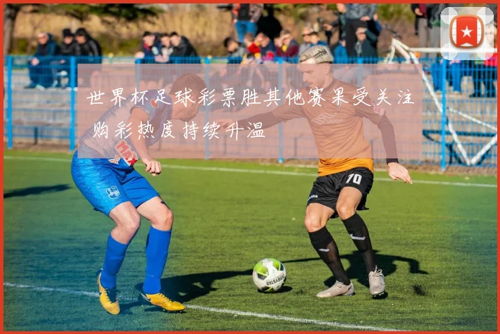 世界杯足球彩票胜其他赛果受关注 购彩热度持续升温